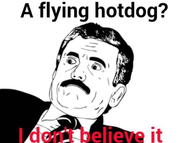 Flying hotdog_.jpg