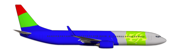 Boeing 737-900ER with our livery.